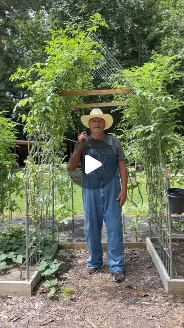 PawPaw Ridge Homestead on Instagram: "If you don’t have much room in your garden go vertical! Try a Trellis! #garden #gardening #gardentips #homestead #homesteading #homesteadlife #farm #farming #farmlife #foodie #farmtotable #permaculture #vegetables #trellis" Cattle Panel Trellis, Panel Trellis, Food Not Lawns, Trellis Garden, Cattle Panels, Arbors Trellis, Gardening Herbs, Permaculture Design, Garden Arbor