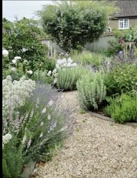 Pea Gravel Garden, Mediterranean Garden Design, Walkway Landscaping, Front Gardens, Front Courtyard, Gravel Garden, Pea Gravel, Garden Wallpaper, Garden Shrubs