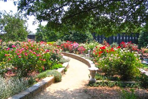 Nc Travel, Queen City, Hidden Gem, Charlotte Nc, Rose Garden, Hidden Gems, Travel Dreams, Day Trips, North Carolina