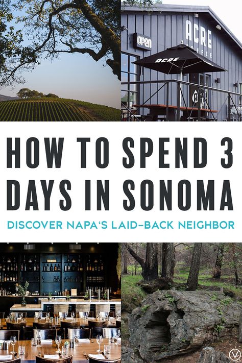 Napa Valley Vs Sonoma, Best Vineyards In Sonoma, Sonoma Valley Itinerary, Sonoma Weekend Trip, What To Wear In Sonoma Wine Country, Sonoma Itinerary, Sonoma California Wineries, California Wine Country Vacation, Sonoma Wine Tours