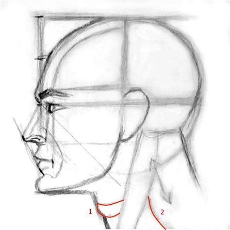 http://online-drawinglessons.com - How to draw a human face male and female face. Characters References, Drawing The Human Head, Draw A Face, Realistic Eye Drawing, Eye Expressions, Drawing Heads, Human Figure Drawing, 얼굴 그리기, Figure Sketching