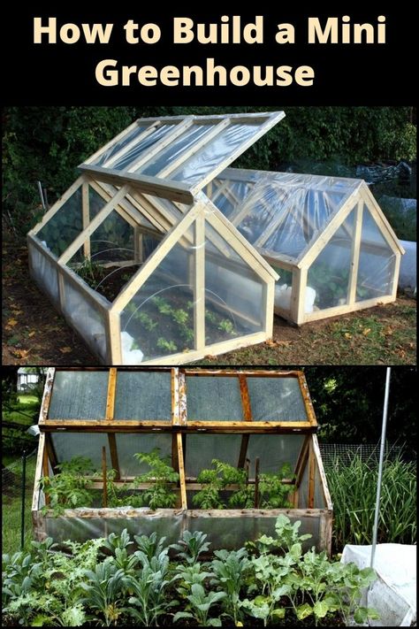 Extend your growing season by building this mini greenhouse! This homemade greenhouse is perfect for those of you who are new to DIY projects. It’s very easy to build, inexpensive, and easy to install. Serre Diy, Diy Mini Greenhouse, Greenhouse Farming, Diy Greenhouse Plans, Best Greenhouse, Home Greenhouse, Plants Growing, Backyard Greenhouse, Small Greenhouse