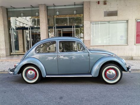 Blue Vw Beetle, 1966 Vw Beetle, Classic Volkswagen Beetle, Vw Beetle For Sale, Volkswagen Beetle Vintage, Car Title, Beetle For Sale, Classic Volkswagen, Vw Beetle Classic