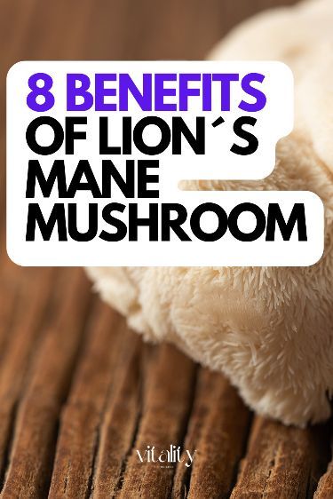 8 Health Benefits of Lion´s Mane Mushroom #cordyceps #mushroom #benefits Lion Mane Mushroom, Lions Mane Benefits, Cordyceps Mushroom, Lion's Mane Mushroom, Health Application, Mushroom Benefits, Lions Mane, Lions Mane Mushroom, Lion's Mane