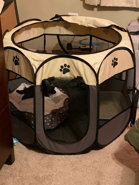 Perfect little house to get the kitten used to new home and mess free apce for litter box. Bringing A Kitten Home, Preparing For Kittens, Kitten Playpen, Puppy Crate Setup Playpen, Portable Dog Crate, Cat Playpen, Puppy Playpen, Cat Crate, Pet Playpen