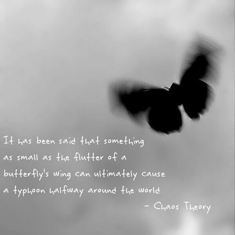 Chaos Theory Butterfly, Chaos Theory Quotes, Butterfly Effect Quotes, Butterfly Effect Theory, Butterfly Theory, Leadership Challenge, Theory Quotes, Tvd Quotes, Citizen Of The World