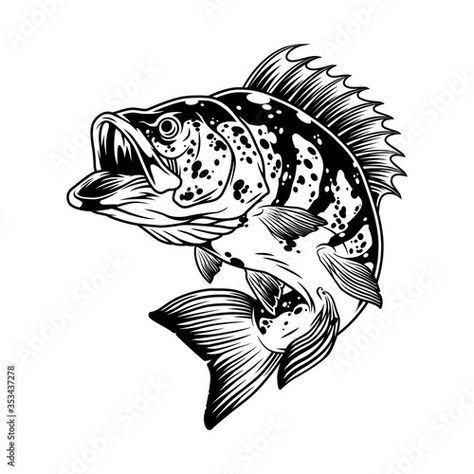 Fishing Illustration, Perch Fish, White Bg, Perch Fishing, Aries Tattoo, Vintage Text, Fish Vector, Fish Illustration, Fish Drawings