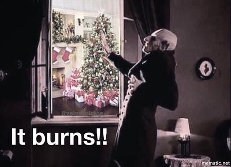 It’s too early!!👿 #AlliWantForChristmasIsHalloween  #JustNo #Halloween #Christmas #Nosferatu #Vampire #Vamp #Vampabilly #Goth #Gothic #Gothabilly Goth Humor, Winter Solstice Traditions, Goth Memes, Goth Christmas, Scary Christmas, Christmas Memes, Creepy Christmas, Thats All Folks, Alternative Lifestyle