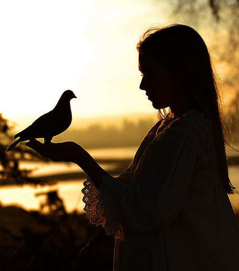 She often likened herself to the fragile nature of a tiny...  "Bird" by Tina Baker (~Tina Louise~ via Flickr) Shadow Silhouette, Slaap Lekker, Arte Inspo, Foto Art, Rumi, Light And Shadow, Photo Profil, Belle Photo, Photography Inspiration