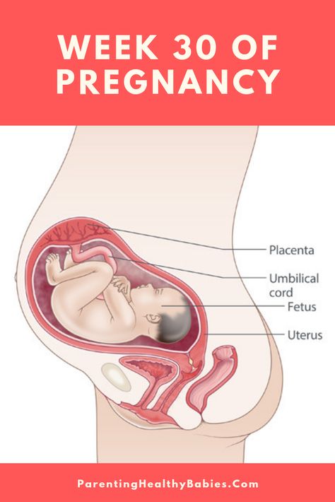 Kidney Repair, 30 Weeks Pregnant, Pregnancy Week, Pregnancy Problems, 30 Weeks, Human Anatomy And Physiology, Birth Plan, Pregnancy Week By Week, Anatomy And Physiology