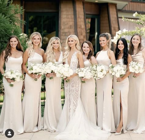 Bridal Party Color Schemes, Wedding Cheers, Amsale Bridesmaid, Beach Wedding Bridesmaids, Wedding Dress Suit, Beach Bridesmaid Dresses, Modern Bridesmaid, Champagne Bridesmaid Dresses, Champagne Bridesmaid