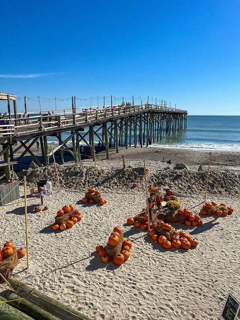 Discover the best things to do this fall in Wilmington, NC and nearby Pumpkin Patches, Wilmington Nc, Pumpkin Patch, Things To Do, Good Things, Festival, Halloween