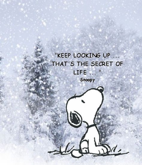 Keep Looking Up, Snoopy Quotes, Positive Quotes For Life, Life Coaching, Secret Life, Quotable Quotes, A Quote, Positive Thoughts, Great Quotes