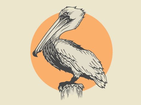 Pelican Tattoo Design, Pelican Doodle, Pelican Illustration, Pelican Drawing, Pelican Tattoo, Pelican Art, Bear Tattoo, Traditional Tattoo Design, Airbrush Art