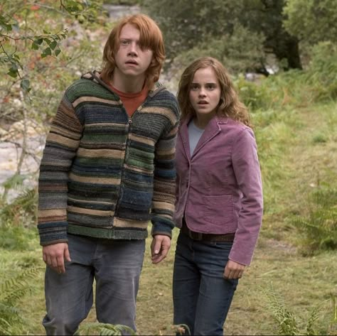 Hermione Granger Outfits, Harry Potter Cat, Ron Y Hermione, Hermione And Ron, Harry Potter Ron And Hermione, Ron And Harry, Emma Watson Harry Potter, Ron Weasley Hermione Granger, Harry Potter Ron Weasley