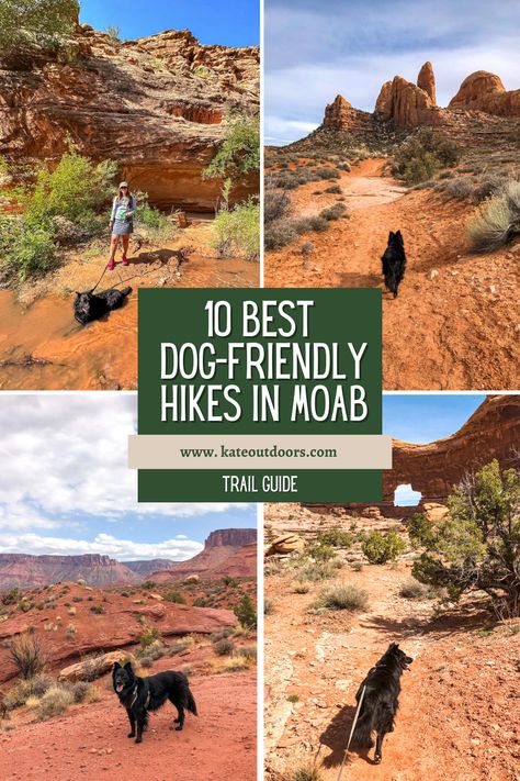 Photos hiking with a black dog in Moab, Utah on red and orange sandy trails. Text says 10 Best Dog-Friendly Hikes in Moab. Dog Friendly National Parks, Moab Hikes, Van Adventure, Dog Hiking, Dead Horse Point State Park, Utah Trip, Alabama Hills, Dog Friendly Vacation, Backpacking Trails