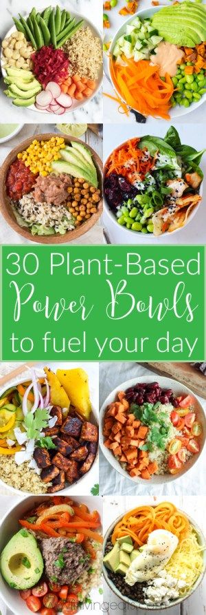 30 Plant-Based Power Bowls to Power You Through Your Day || Recipes at fitlivingeats.com Power Bowl Recipe, Bowls Recipes, Bowl Meals, Smoothies Vegan, Power Bowl, Power Bowls, Buddha Bowls, Resep Diet, Food Bowls