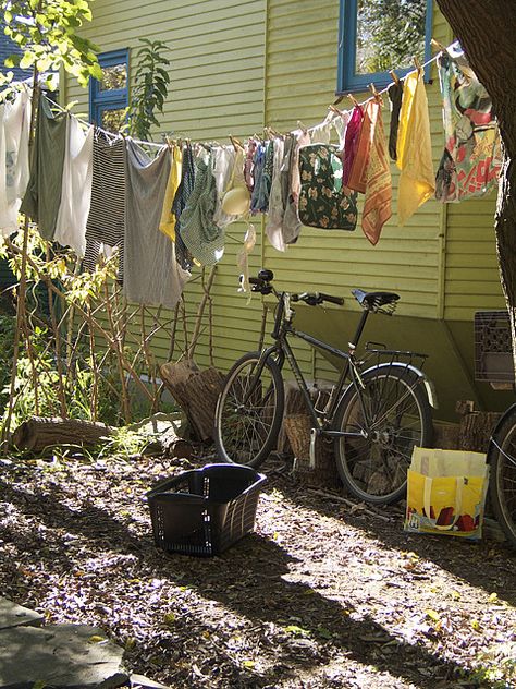 Washing Lines, Laundry Lines, Clothes Lines, Laundry Art, Laundry Clothesline, Hanging Laundry, Toronto Island, Clothes Hanging, Vintage Laundry