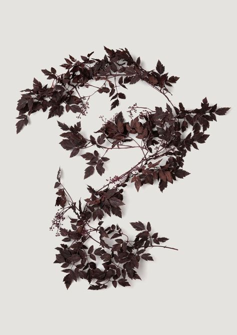 PRICES MAY VARY. As featured in Apartment Therapy and The Spruce, our stunning plum purple artificial Cimicifuga Ramosa leaf garland adds a nature-inspired look to your everyday decor mantle centerpieces and wedding tablescapes. The incredibly realistic Hillside Black Beauty leaves have a dramatic, rich hue that complements any autumn color palette or fall design.6' Long x 18" WideSilk Leaves and Plastic Berries40% Fabric, 30% PE Plastic, 10% Iron Wire, 10% Glue, 10% Color Paste For indoor or sh Gothic Manor, Autumn Color Palette, Autumn Interior, Faux Branches, Fall Leaf Garland, Fall Stem, The Spruce, Fall Mantle, Everyday Decor