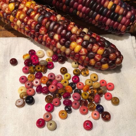 belvedere beads: Indian Corn Glass Gem Corn Crafts, Beaded Corn, Corn Jewelry, Indian Ornaments, Gem Corn, Colored Corn, Rainbow Corn, Thanksgiving Crafts Decorations, Glass Gem Corn