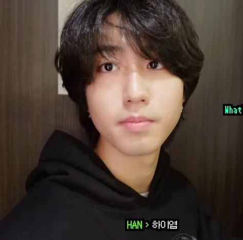 Quokka Baby, Han Icon, Ouran Host Club, Baby Squirrel, Bare Face, Animation Art Character Design, Dream Boy, Homeless Children, Han Jisung