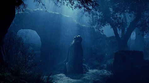 PASSION OF THE CHRIST (2004): MEL'S LETHAL JESUS | Alfred Eaker's ... Christ Movie, Passion Of Christ Images, The Garden Of Gethsemane, Passion Of The Christ, Jesus Movie, Agony In The Garden, Garden Of Gethsemane, Jesus Praying, Jim Caviezel