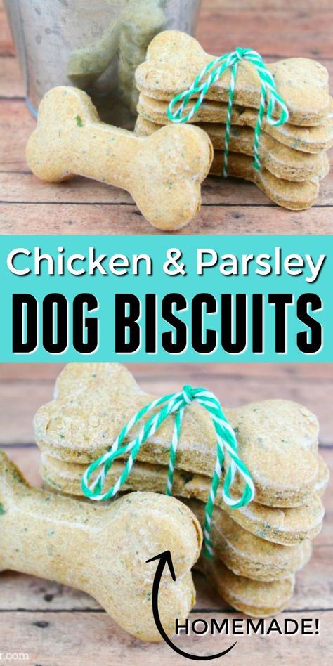 Homemade Dog Cookies, Pet Treats Recipes, Chicken Dog, Easy Dog Treat Recipes, Dog Treats Homemade Easy, Dog Biscuits Homemade, Dog Biscuit Recipes, Easy Dog Treats, Healthy Dog Treats Homemade