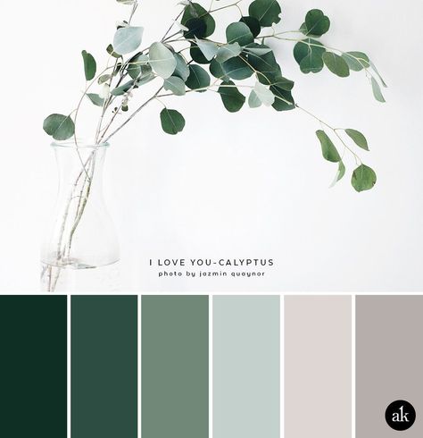 Speaking of "keeping it together" (if you saw the last post), I feel so on top of things when I prep a color palette BEFORE Friday. ("But where was last week's palette?" you ask? Shhhhh.) I've always loved the blue-green hues of eucalyptus. Quiet, calming, and never bori Nature Color Palette, Green Colour Palette, Color Inspo, Decor Minimalist, Natural Tones, Colour Schemes, Color Pallets, Room Colors, Design Interior