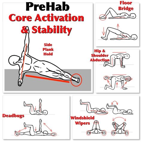 Core Workout Plan, Stability Exercises, Physical Therapy Exercises, Core Stability, Kinetic Energy, Core Training, Strengthening Exercises, Stretching Exercises, Hip Flexor