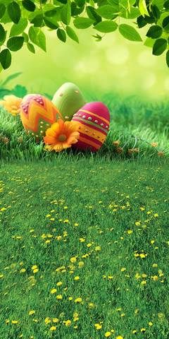 Holidays Wallpaper, Easter Wallpapers, Studio Photography Backdrop, Kate Green, Green Grass Field, Easter Background, Easter Photography, Easter Backdrops, Easter Illustration