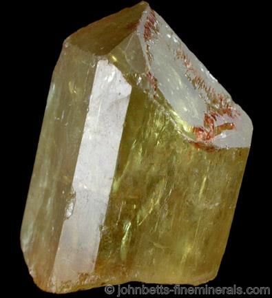 Yellow Gemmy Apatite - The Mineral and Gemstone Kingdom Durango Mexico, Fine Minerals, Crystal Geode, Minerals And Gemstones, Rock Stars, Rocks And Gems, Rock Hounding, Gems And Minerals, Crystals Minerals