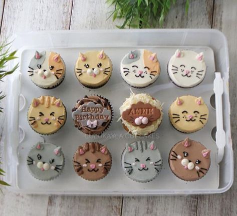 Cat Themed Cupcakes, Korean Cake Cat, Cat Cupcakes Ideas, Korean Cupcakes, Cat Desserts, Whole Foods Cake, Cupcake Cat, Toffee Dessert, Cupcakes Birthday