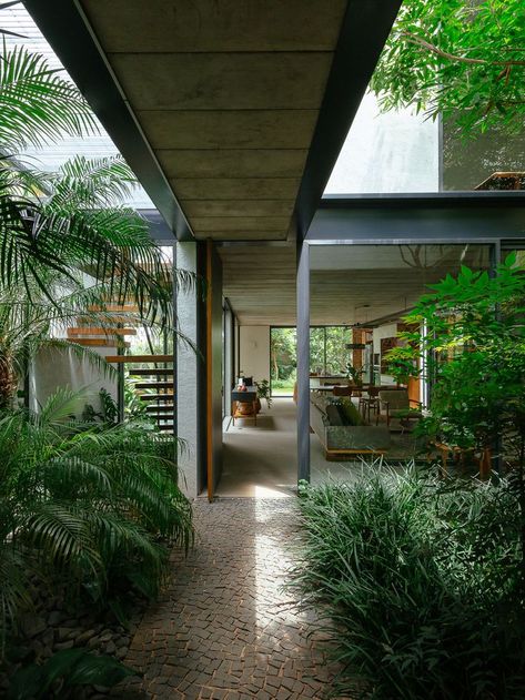 contemporary brazilian architecture that invokes heartwarming atmosphere Organic Architecture Concept, Brazil Houses, Eco Project, Brazilian Architecture, Organic Modern Home, Terrace Apartment, Architecture 101, Exterior Houses, Eco Buildings