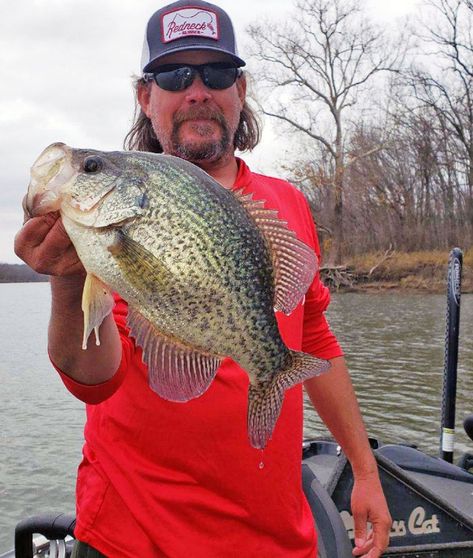 Never Jig a Crappie Jig - In-Fisherman Fishing Diy Projects, Crappie Rigs, Pelican Boats, Crappie Lures, Crappie Bait, Diy Fishing Rod, Ice Fishing Jigs, Braided Lines, Fish Types