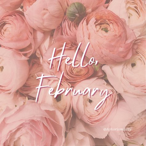 Hello February Month, February New Month, Hello February Quotes, February Quotes, New Month Quotes, February Month, Hello February, Season Quotes, Happy February