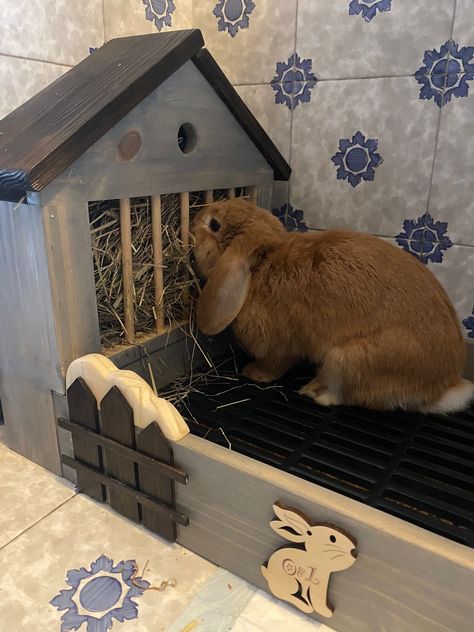 Rabbit Litter Tray Ideas, Rabbit Litter Box Ideas, Litter Box For Rabbits, Diy Bunny Litter Box House Rabbit, Rabbit Litter Tray, Rabbit Birthing Boxes, Litter Box Ideas, Bunny Litter Box, Rabbit Litter