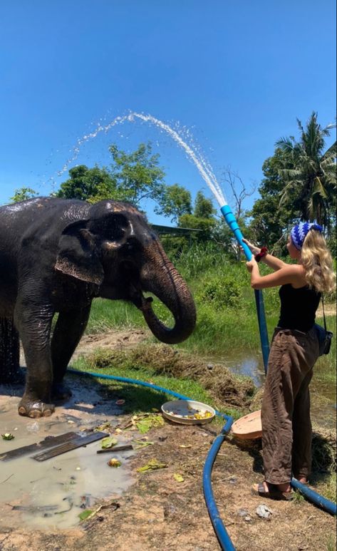 Volunteering With Animals, Wildlife Biologist, Africa Animals, Adventure Aesthetic, Pretty Animals, Crazy Life, Gap Year, Like Animals, Cute Wild Animals