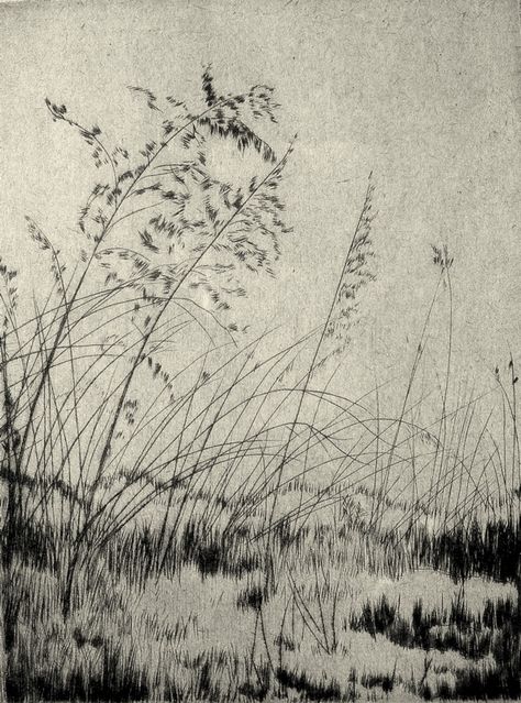 Lyman Byxbe, etching, 1933 Drypoint Etching Inspiration, Intaglio Printmaking, Dry Point, Drypoint Etching, Etching Prints, 수채화 그림, Encaustic Painting, Painting Digital, Landscape Drawings