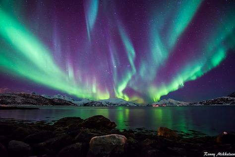 Northern Light Skulsfjord Tromsø | Flickr - Photo Sharing! Iceland Wallpaper, Northern Lights Wallpaper, Wallpaper Horizontal, Photography Degree, Aesthetic Airport, Aurora Sky, Pc Wallpapers, Northern Lights (aurora Borealis), City Light