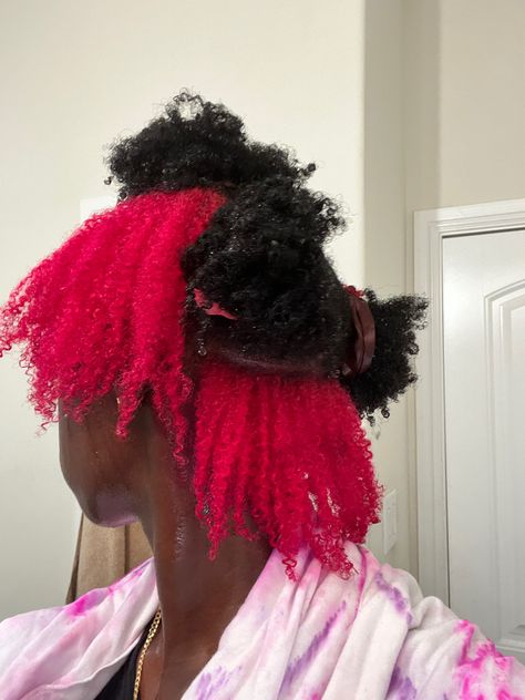 Dyed Hair Inspiration Red, Skunk Stripe Hair Braids, Skunk Stripe Ideas, Skunk Stripe Short Hair, Skunk Stripe Dreads, Locs Skunk Stripe, Burgundy Skunk Stripe, Skunk Stripe Natural Hair, Purple Skunk Stripe Hair