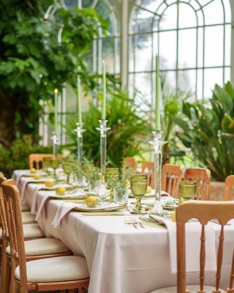 Looking for the perfect bright, airy, and light-drenched venue to tie the knot in? Swipe to see 7 of the best orangery venues in the UK as selected by our editors, and head to the link in bio for a closer look at each location. #theweddingedition #orangery #ukweddingvenue #weddingplanning Orangery Wedding, Glass House Wedding, Banqueting House, Weekend Packing, Adventurous Things To Do, Wedding Venues Uk, Romantic Restaurant, Hampton Court Palace, Event Sign