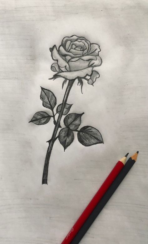 Rose Drawing Simple, Easy Drawing Step By Step, Easy Pencil Drawings, Drawings For Him, Rose Line Art, Drawing Dragon, Self Portrait Art, Romantic Artwork, Rose Sketch