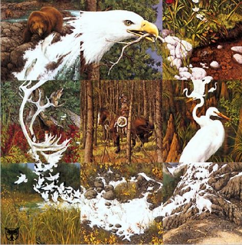 Bev Doolittle Prints, Bev Doolittle, Sacred Circle, Hidden Images, Duck Art, Wildlife Artists, American Culture, Wow Art, Circle Of Life