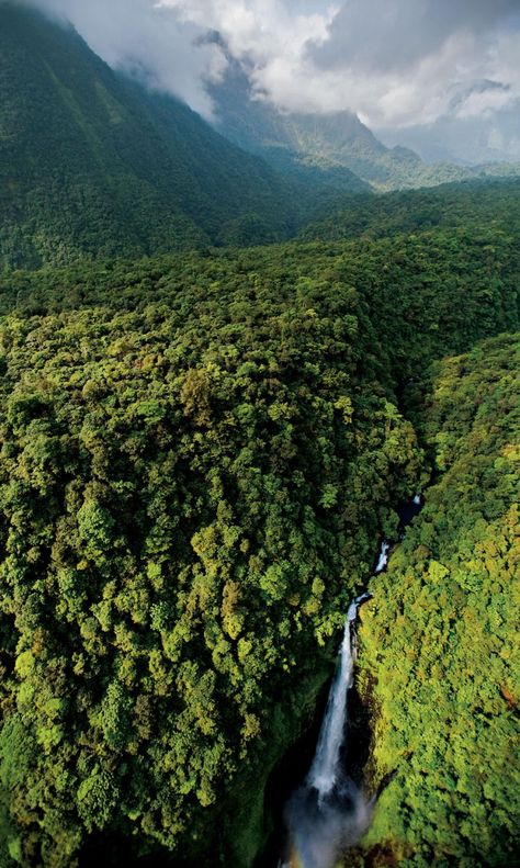 Guinea Africa, Breathtaking Scenery, Central Africa, National Geographic Magazine, Liberia, Green Forest, Africa Travel, Luxor, West Africa