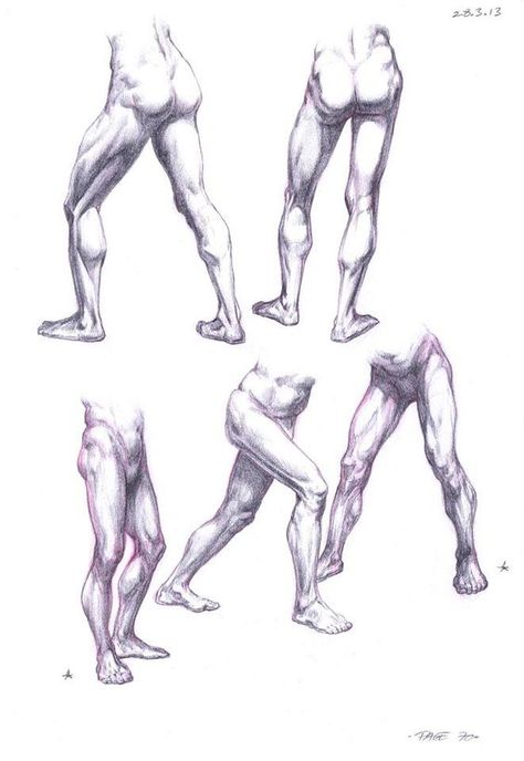 Leg Drawing, Illustration Expressions, Leg Anatomy, Anatomy Studies, Archive Library, Drawing Legs, Academic Drawing, Library Reference, Animation Drawing