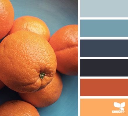 My complementary color palette, along with a very light tint of blue + orange. The orange will be part of the woman's hair/outfit/world Seeds Color, Color Concept, Design Seeds, Color Palette Design, Bright Designs, Color Pick, Complementary Colors, Colour Schemes, Color Pallets