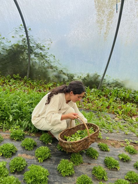 Eco Conscious Aesthetic, Person Gardening, Farming Aesthetic, Gardener Aesthetic, Working In The Garden, Future Farms, Home Vegetable Garden, Artist Life, Veggie Garden