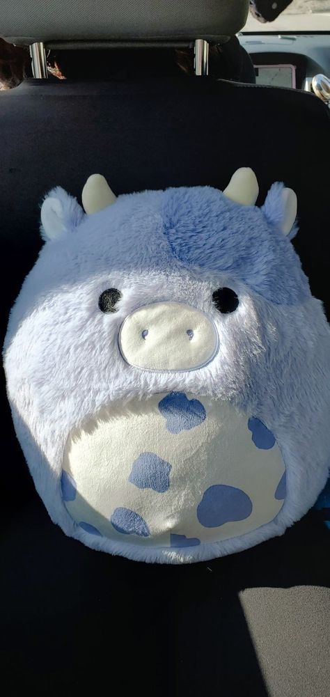 Fluffy Cow Squishmallow, Cute Cow Squishmallows, Blue Cow Squishmallow, Blueberry Cow Squishmallow, Bubba Squishmallow, Fluffy Squishmallows, Aesthetic Squishmallow, Blue Squishmallow, Purple Squishmallow