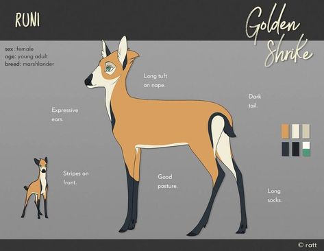 Golden Shrike, Fairytale Creatures, Bambi Art, Deer Drawing, Deer Illustration, Animated Animals, Deer Art, Creature Drawings, Fantasy Creatures Art