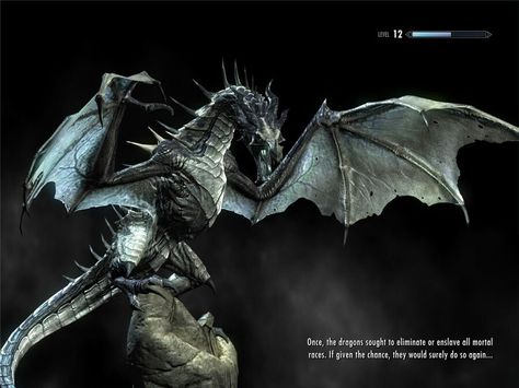 Loading screen Skyrim Dragons, Skyrim Game, Skyrim Dragon, Dragon Poses, Skyrim Art, Real Animals, Girl Gamer, Dragon Eggs, Bethesda Games